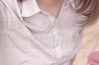如果黑白有性格，那就是けん研(けんけん)的MonochromeZipper合集吧