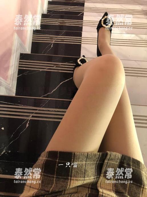 微密圈 - 哎哟，梦里一只喵的眼镜写真，原图里的猫咪真是有“学术范”！